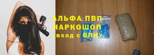 гидра Нижний Тагил