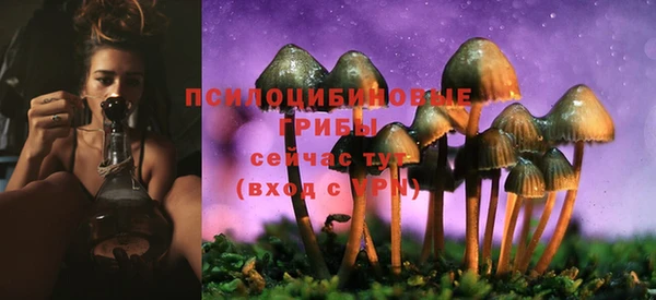 ГАЛЛЮЦИНОГЕННЫЕ ГРИБЫ Кострома