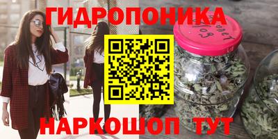 гидропоника Аргун
