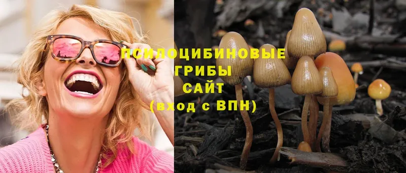 купить закладку  Балаково  МЕГА онион  Галлюциногенные грибы Psilocybine cubensis 