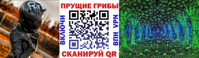 как найти   Балаково  Галлюциногенные грибы Magic Shrooms 