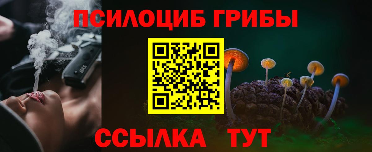 Балаково  Псилоцибиновые грибы мухоморы  Вход с VPN 